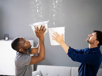 About Hilo Mold Specialist - mold removal experts in Hilo, HI